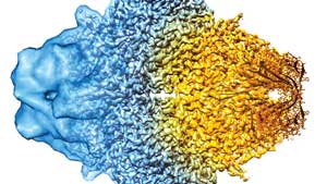 A composite cryo-EM image shows increasing resolution from left to right.