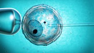 Artist depiction of egg cell being fertilized.