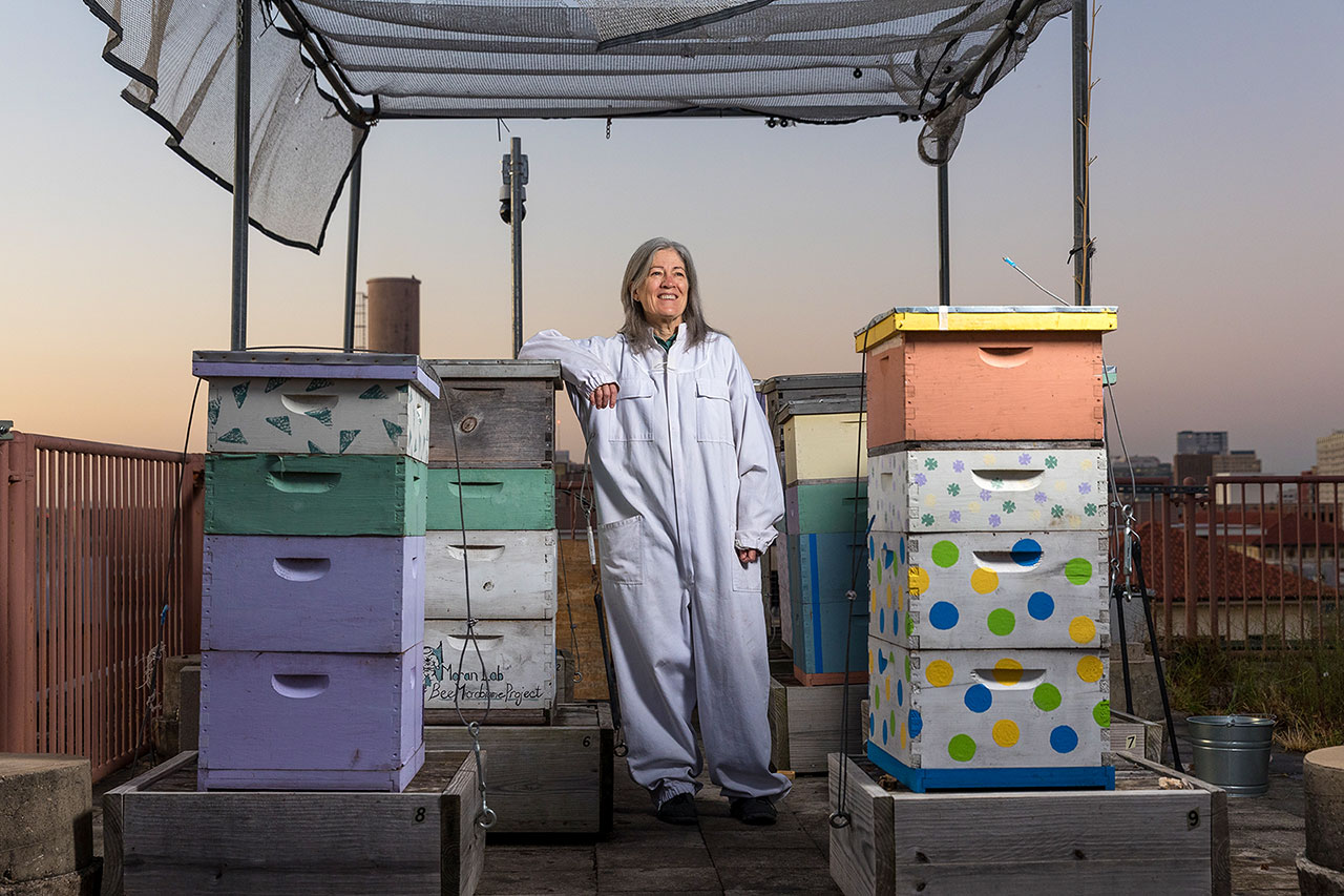 Nancy Moran poses with her bee hives on top of a building at sunrise.